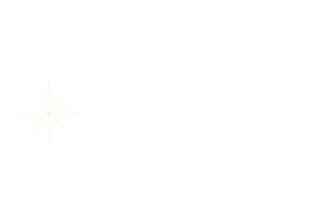 Pass Voyages - logo blanc