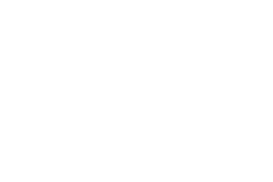 New noise Le havre - Logo blanc