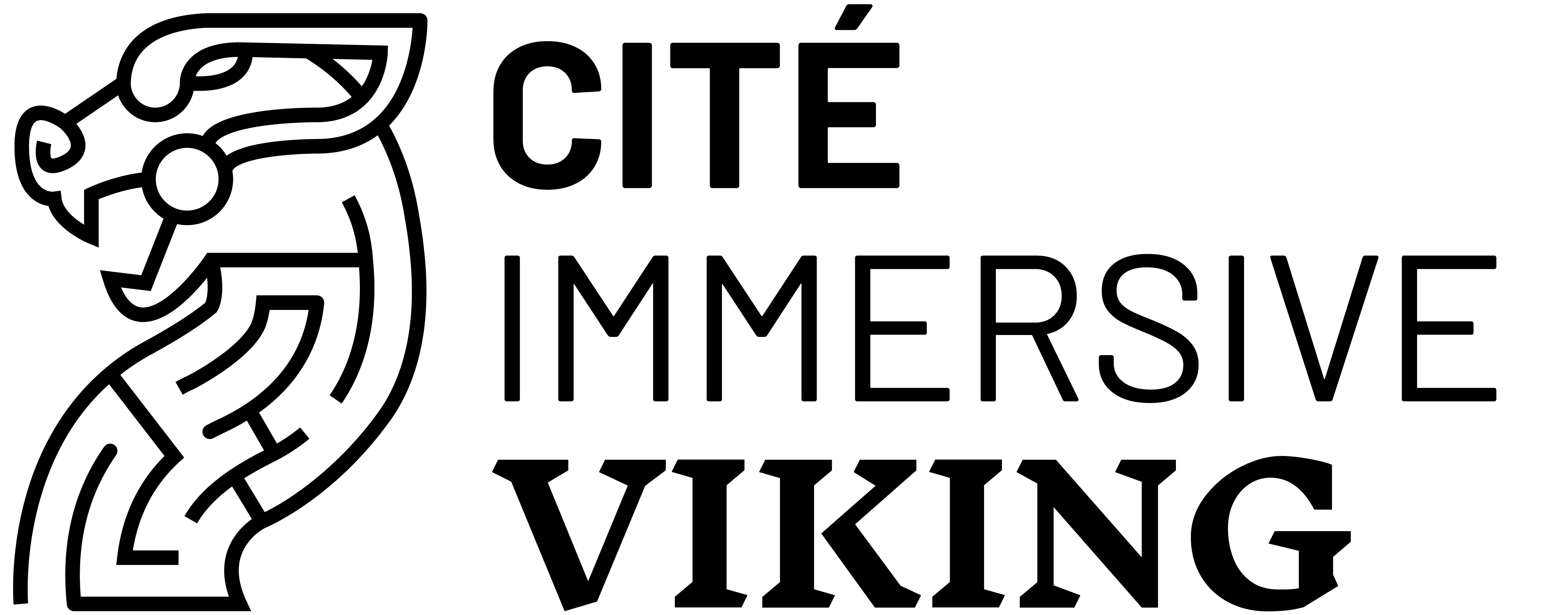 LOGOS_CI_VIKING_LOGO_NOIR